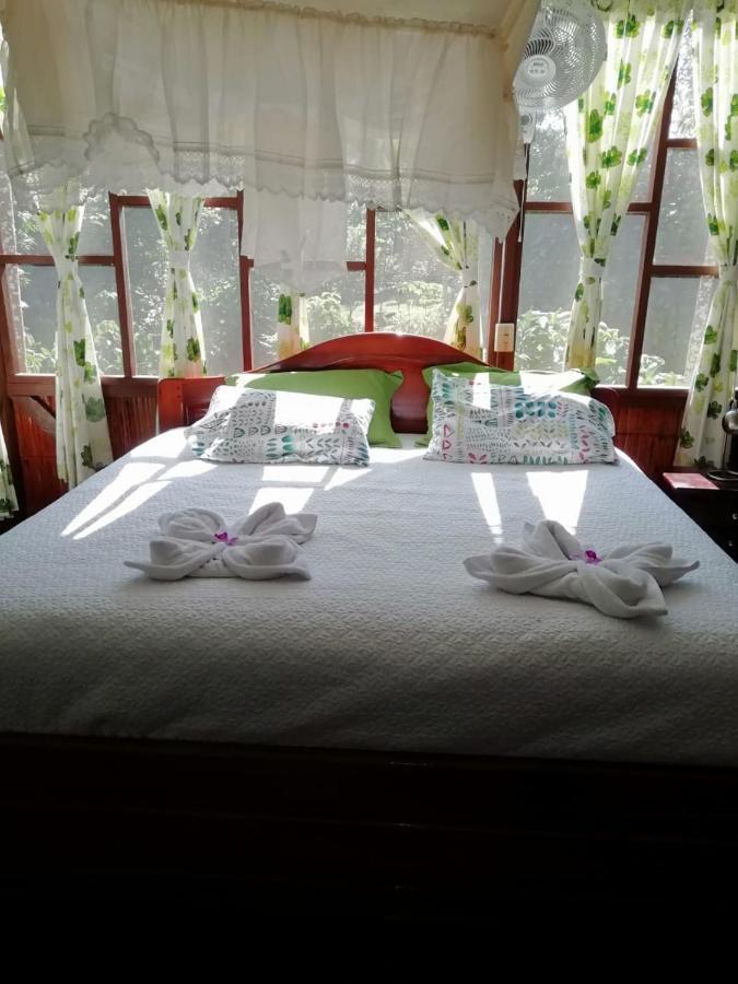 Yarina Eco Lodge Derna Luaran gambar