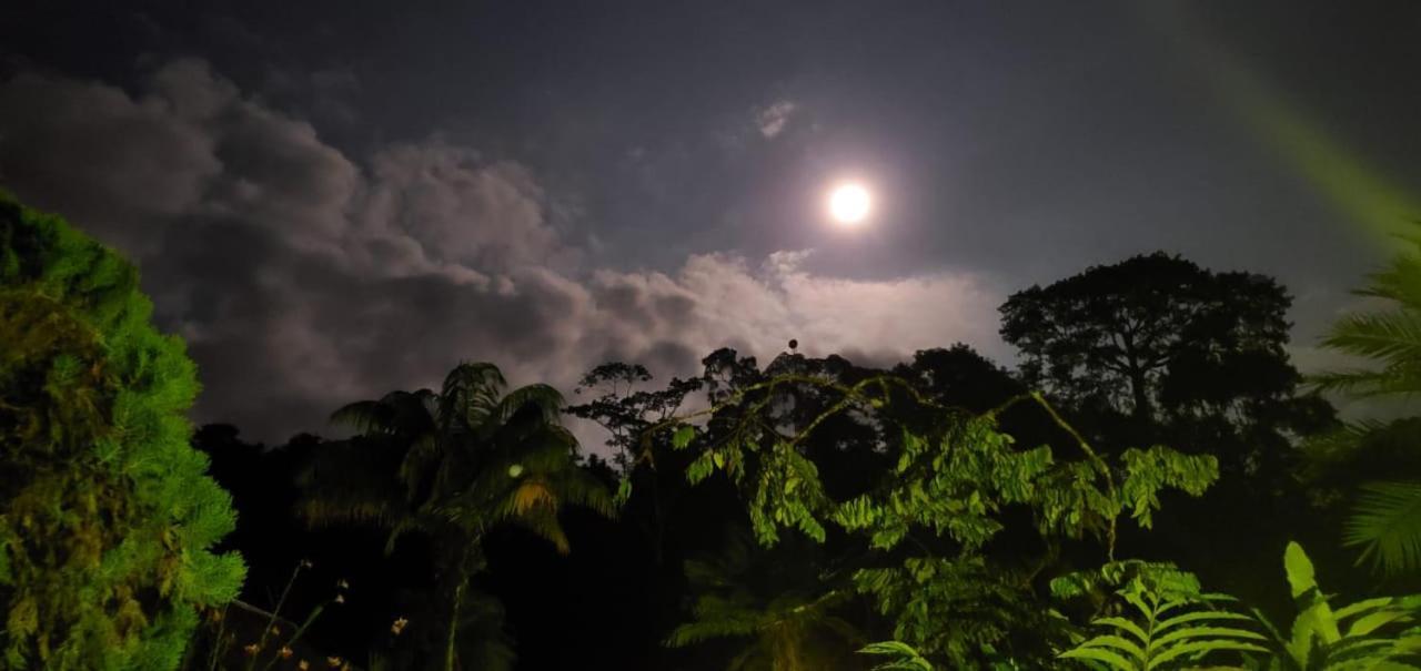 Yarina Eco Lodge Derna Luaran gambar